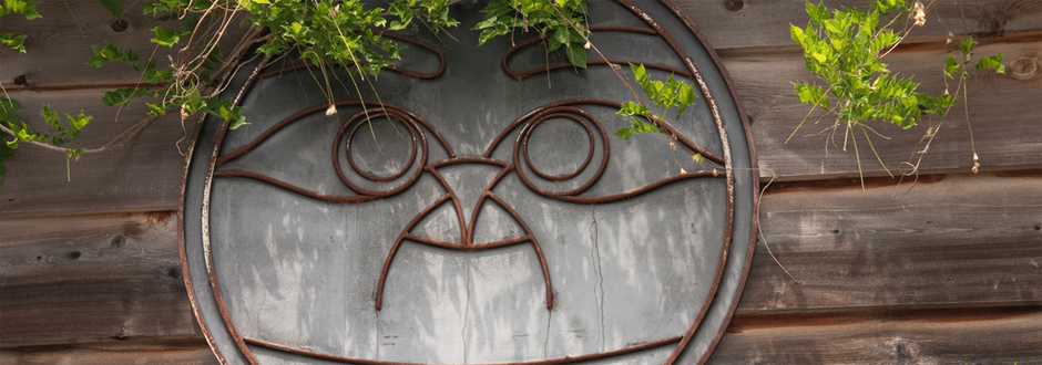 Welcome to the Sunshine Coast