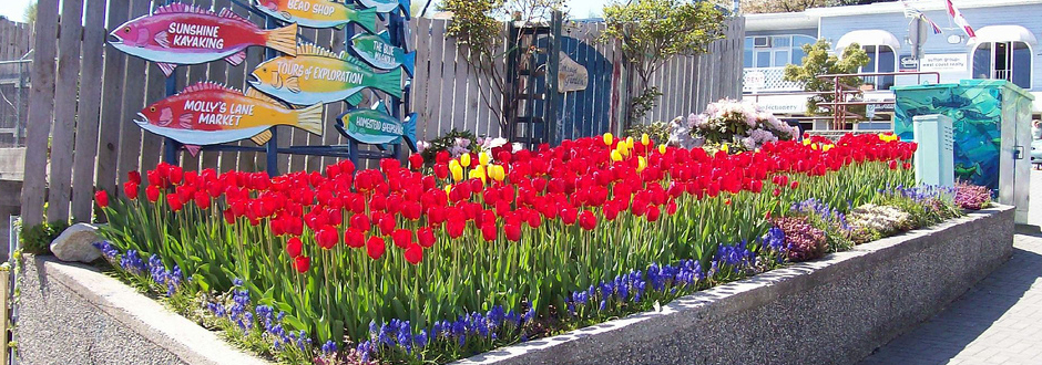 Sunshine Coast Appraisal and Valuation for Your Home